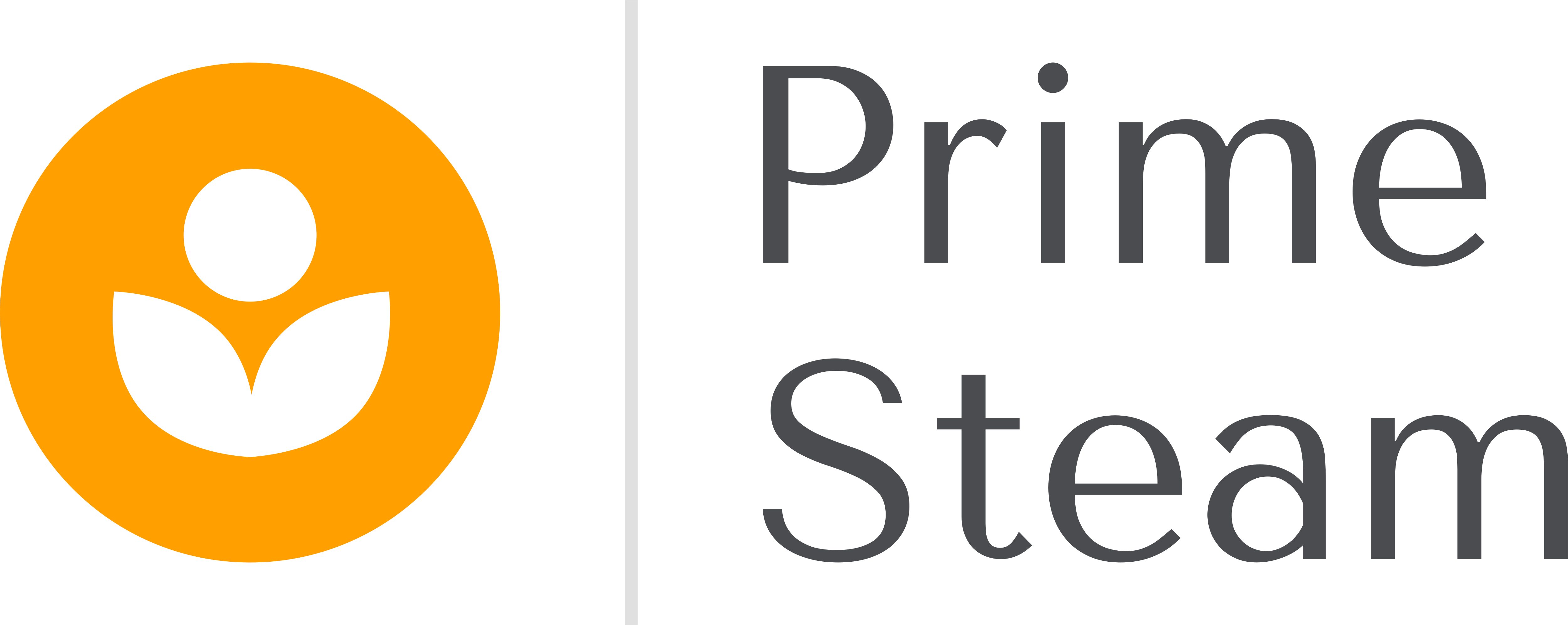 Prime Steam carpet cleaning