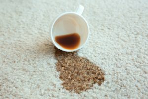 Carpet Cleaning Kingston