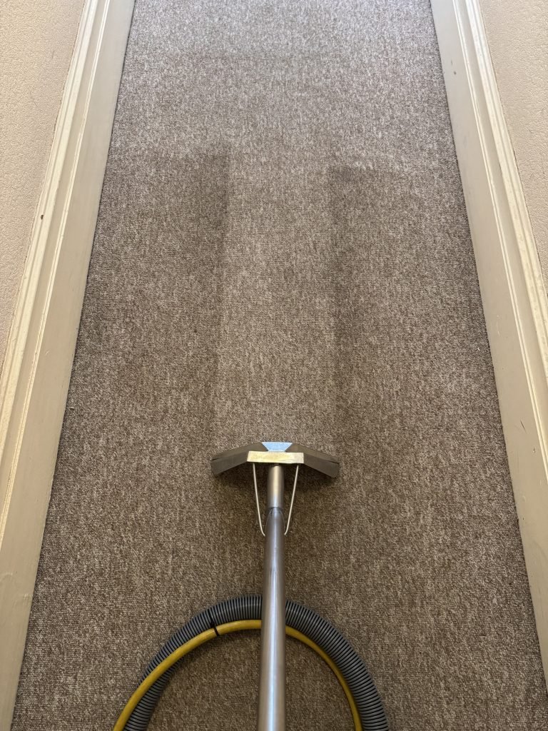 carpet-cleaning-balham